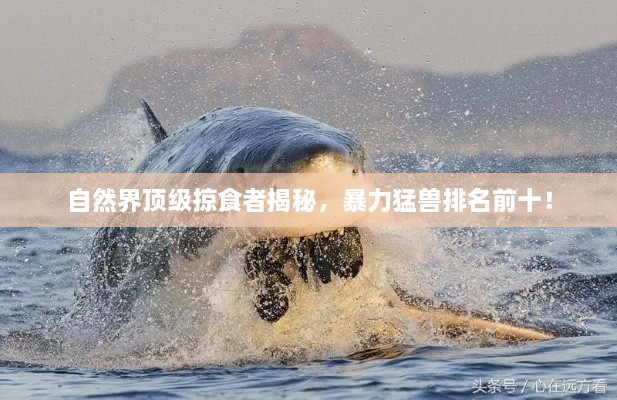 自然界頂級掠食者揭秘，暴力猛獸排名前十！