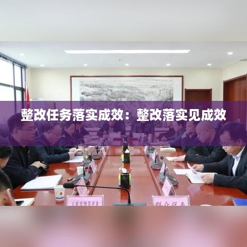 整改任務(wù)落實(shí)成效：整改落實(shí)見成效 