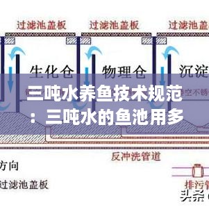 三噸水養(yǎng)魚技術(shù)規(guī)范：三噸水的魚池用多大的水泵 