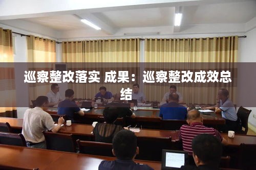 巡察整改落實(shí) 成果：巡察整改成效總結(jié) 