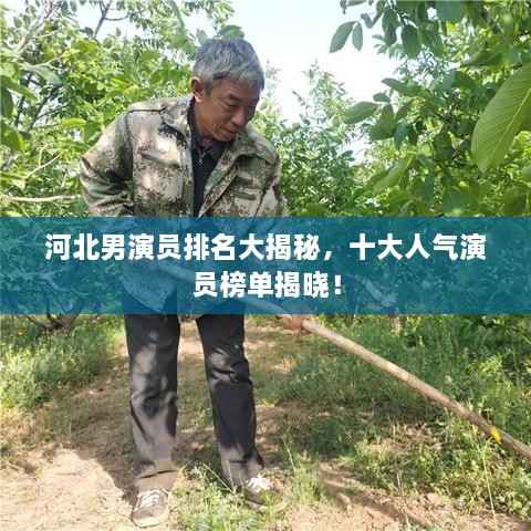 河北男演員排名大揭秘，十大人氣演員榜單揭曉！