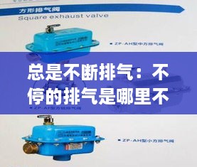 總是不斷排氣：不停的排氣是哪里不好 