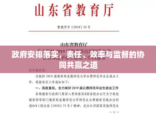政府安排落實(shí)，責(zé)任、效率與監(jiān)督的協(xié)同共贏之道