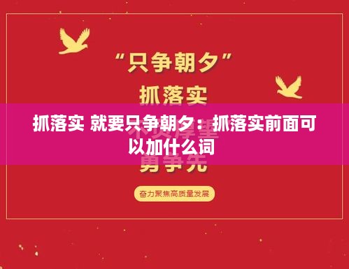 抓落實 就要只爭朝夕：抓落實前面可以加什么詞 