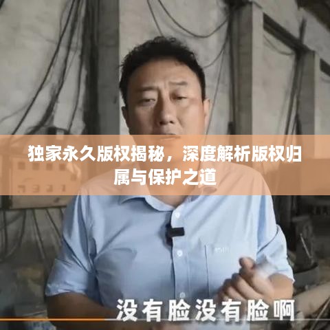 獨家永久版權(quán)揭秘，深度解析版權(quán)歸屬與保護之道