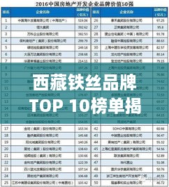西藏鐵絲品牌TOP 10榜單揭曉！最新排名一網(wǎng)打盡