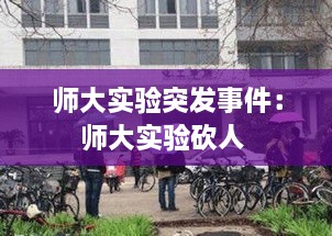 師大實(shí)驗(yàn)突發(fā)事件：師大實(shí)驗(yàn)砍人 