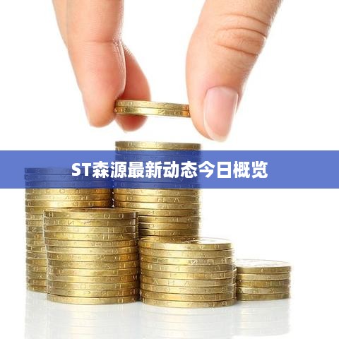 ST森源最新動態(tài)今日概覽