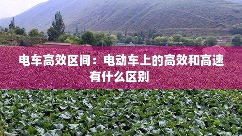 電車高效區(qū)間：電動車上的高效和高速有什么區(qū)別 