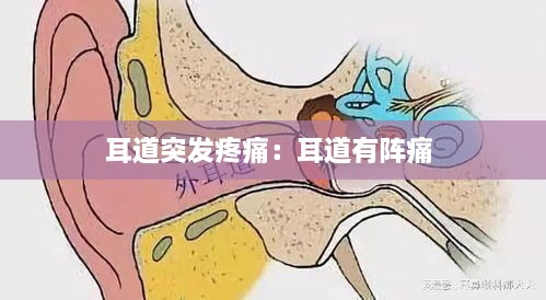 耳道突發(fā)疼痛：耳道有陣痛 