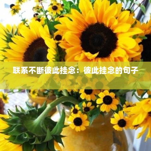 聯(lián)系不斷彼此掛念：彼此掛念的句子 