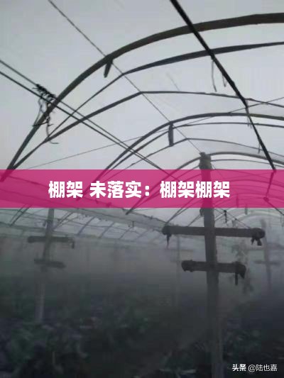棚架 未落實：棚架棚架 