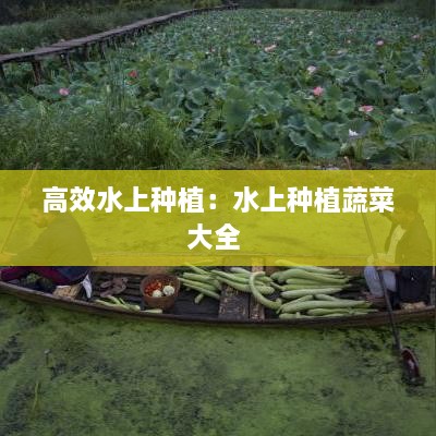 高效水上種植：水上種植蔬菜大全 