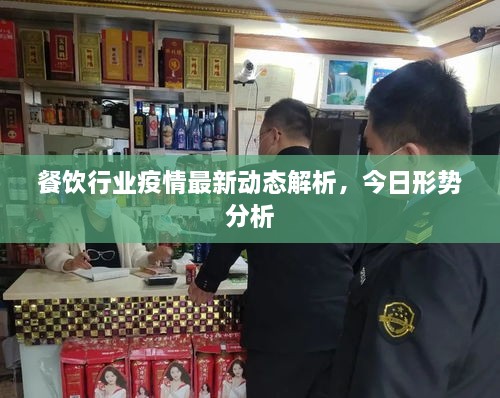 餐飲行業(yè)疫情最新動態(tài)解析，今日形勢分析