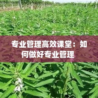 專業(yè)管理高效課堂：如何做好專業(yè)管理 