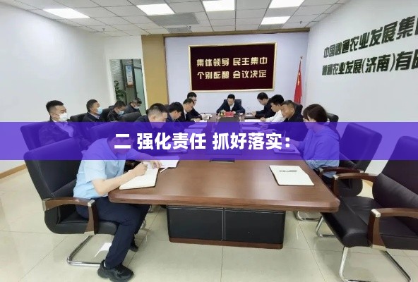 二 強(qiáng)化責(zé)任 抓好落實(shí)： 