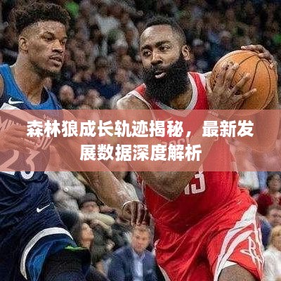 森林狼成長(zhǎng)軌跡揭秘，最新發(fā)展數(shù)據(jù)深度解析