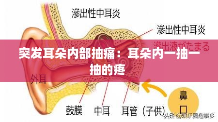 突發(fā)耳朵內(nèi)部抽痛：耳朵內(nèi)一抽一抽的疼 