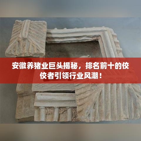 安徽養(yǎng)豬業(yè)巨頭揭秘，排名前十的佼佼者引領(lǐng)行業(yè)風(fēng)潮！