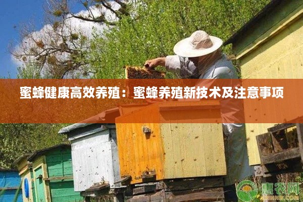 蜜蜂健康高效養(yǎng)殖：蜜蜂養(yǎng)殖新技術(shù)及注意事項(xiàng) 