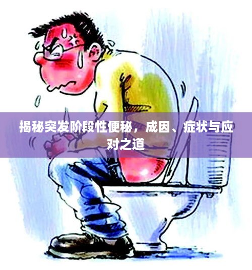 揭秘突發(fā)階段性便秘，成因、癥狀與應對之道