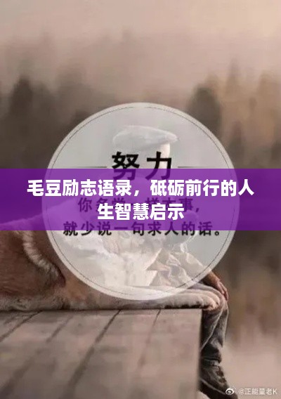 毛豆勵志語錄，砥礪前行的人生智慧啟示