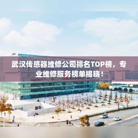 武漢傳感器維修公司排名TOP榜，專業(yè)維修服務(wù)榜單揭曉！