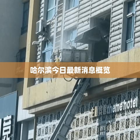 哈爾濱今日最新消息概覽
