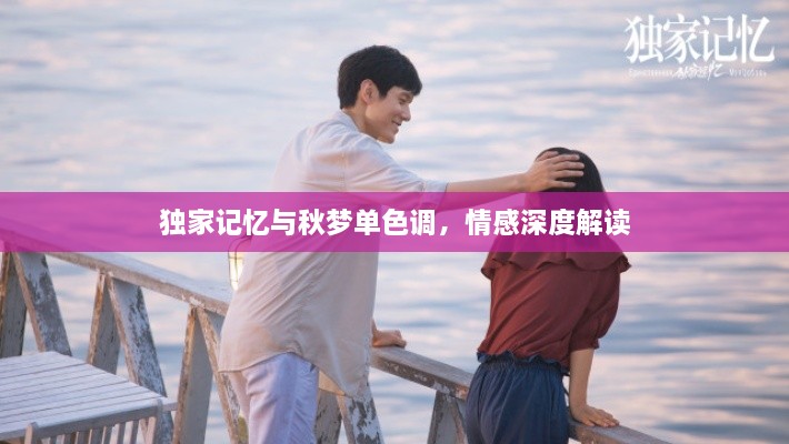 獨(dú)家記憶與秋夢(mèng)單色調(diào)，情感深度解讀
