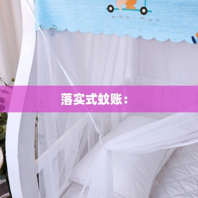 落實(shí)式蚊賬： 