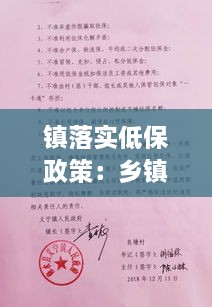鎮(zhèn)落實(shí)低保政策：鄉(xiāng)鎮(zhèn)低保領(lǐng)域?qū)ｎ}匯報(bào) 