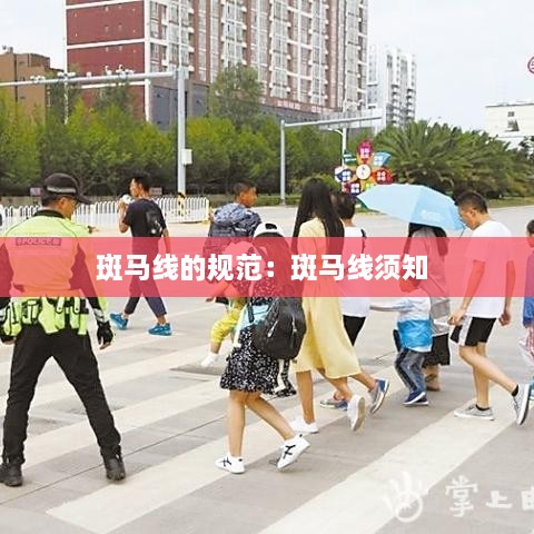 斑馬線的規(guī)范：斑馬線須知 