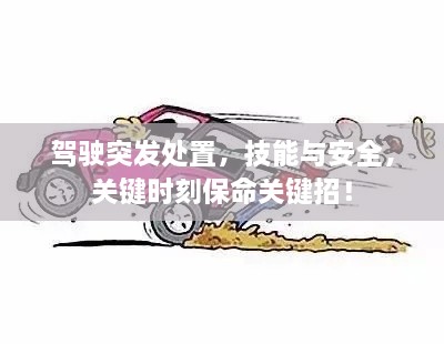 駕駛突發(fā)處置，技能與安全，關(guān)鍵時(shí)刻保命關(guān)鍵招！