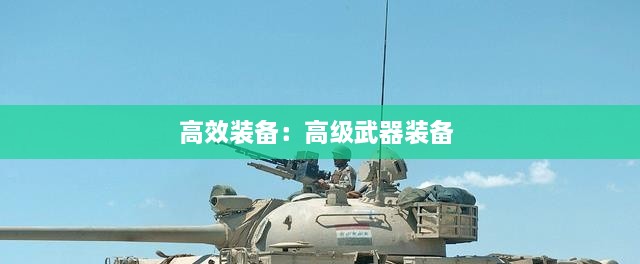 高效裝備：高級(jí)武器裝備 