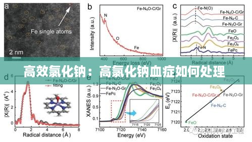 高效氯化鈉：高氯化鈉血癥如何處理 
