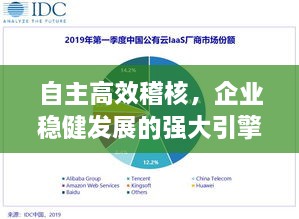 自主高效稽核，企業(yè)穩(wěn)健發(fā)展的強大引擎