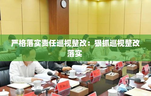 嚴格落實責任巡視整改：狠抓巡視整改落實 