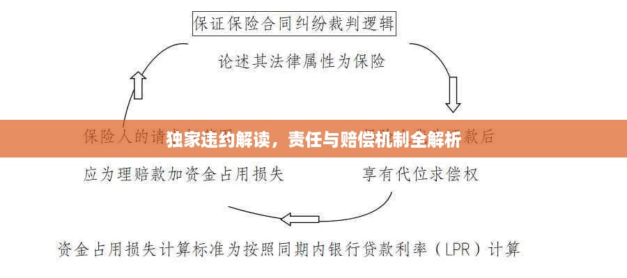 獨家違約解讀，責(zé)任與賠償機制全解析