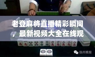老登麻將直播精彩瞬間，最新視頻大全在線觀看！