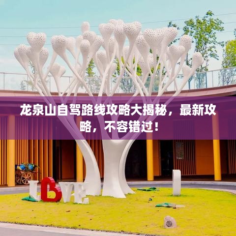 龍泉山自駕路線攻略大揭秘，最新攻略，不容錯過！