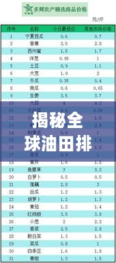 揭秘全球油田排名榜，新世界油田地位與影響力不容小覷