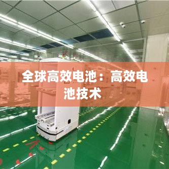 全球高效電池：高效電池技術 