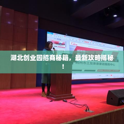 湖北創(chuàng)業(yè)園招商秘籍，最新攻略揭秘！