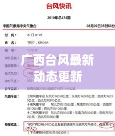 廣西臺風(fēng)最新動態(tài)更新