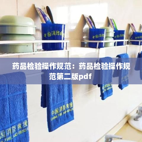 藥品檢驗(yàn)操作規(guī)范：藥品檢驗(yàn)操作規(guī)范第二版pdf 