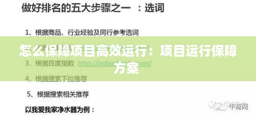 怎么保障項(xiàng)目高效運(yùn)行：項(xiàng)目運(yùn)行保障方案 