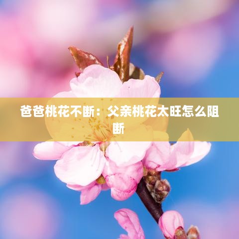爸爸桃花不斷：父親桃花太旺怎么阻斷 