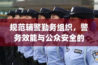 規(guī)范輔警勤務組織，警務效能與公眾安全的提升之道