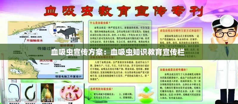 血吸蟲宣傳方案：血吸蟲知識教育宣傳欄 
