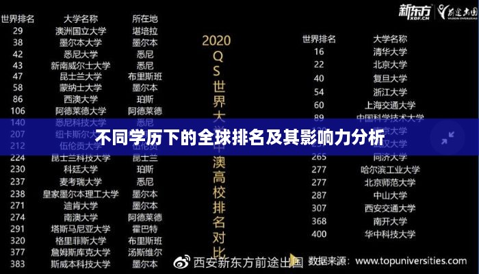不同學歷下的全球排名及其影響力分析